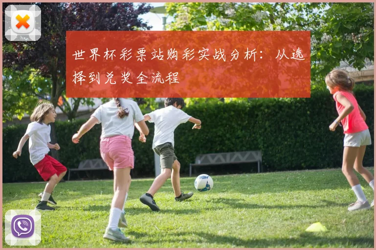 世界杯彩票站购彩实战分析：从选择到兑奖全流程