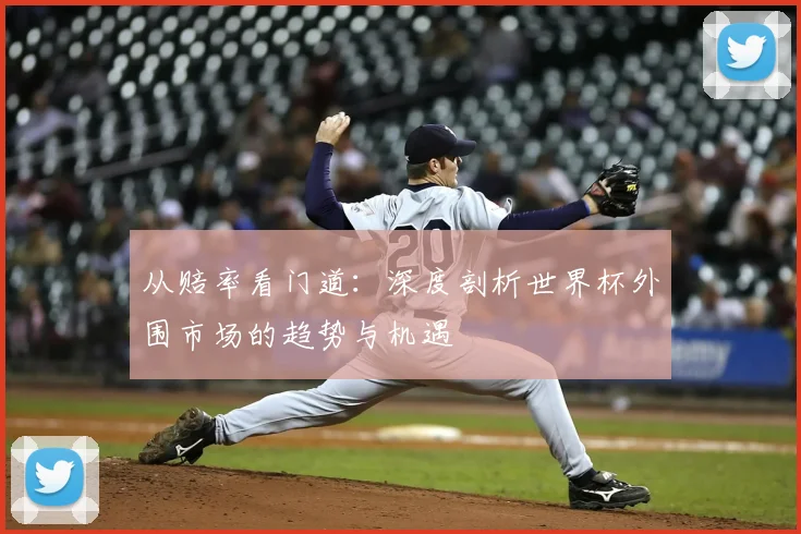 从赔率看门道:深度剖析世界杯外围市场的趋势与机遇