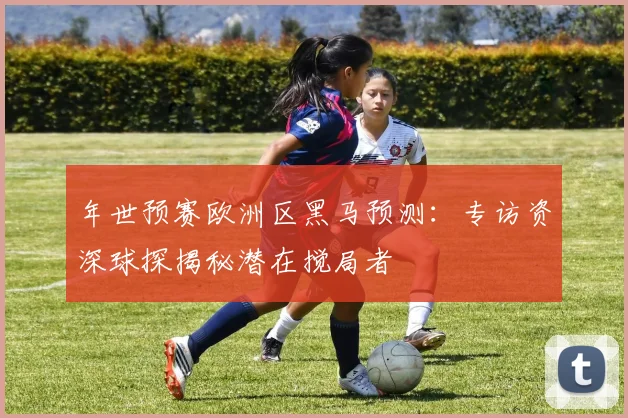 年世预赛欧洲区黑马预测：专访资深球探揭秘潜在搅局者